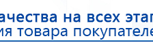 Электроды Скэнар -  двойной овал 55х90 мм купить в Белгороде, Электроды Скэнар купить в Белгороде, Нейродэнс ПКМ официальный сайт - denasdevice.ru